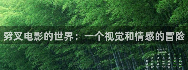 新视觉福利视频
