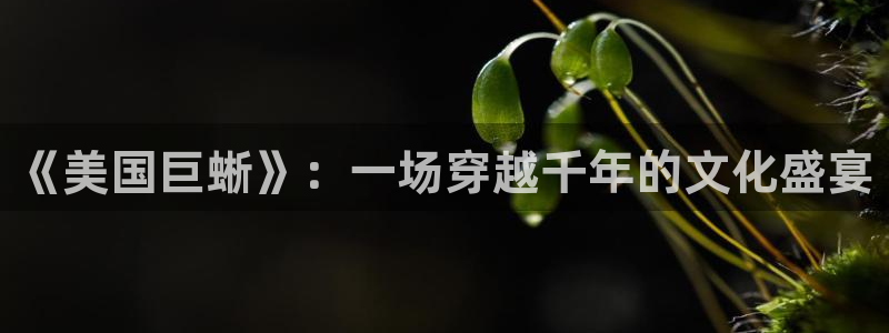 6080新视觉理论电视剧在线