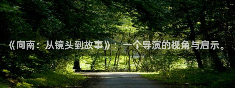 新视觉电子