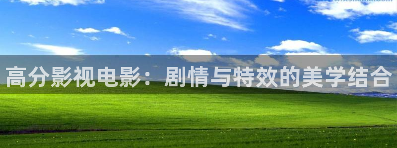 yy6090新视觉手机版本