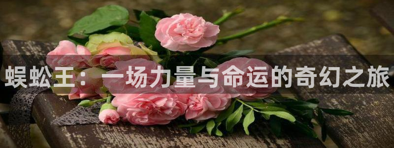 新视觉网络科技有限公司