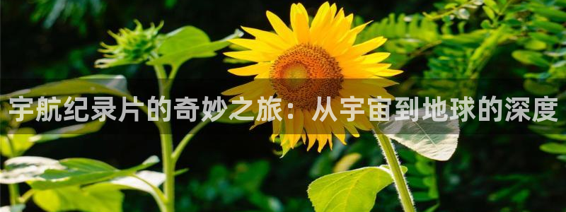 yy6080新视觉影院在线