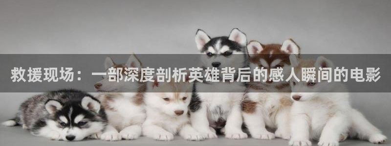 yy6029新视觉电视剧免费上线