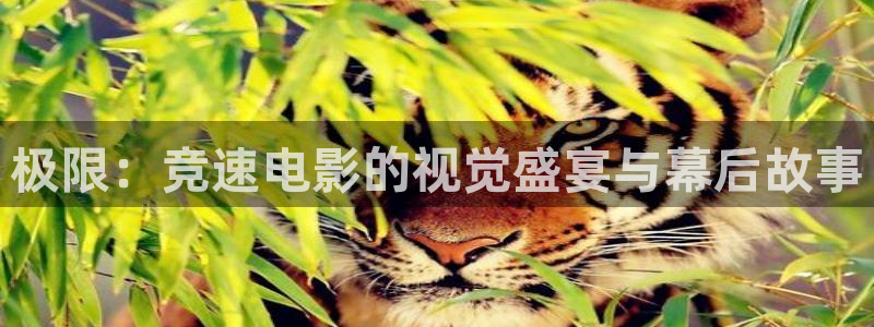 www.yy6080新视觉影院
