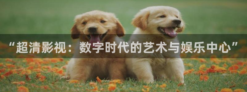 yy6029新视觉影院手机版
