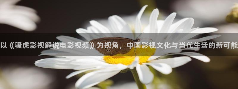 新视觉网剧