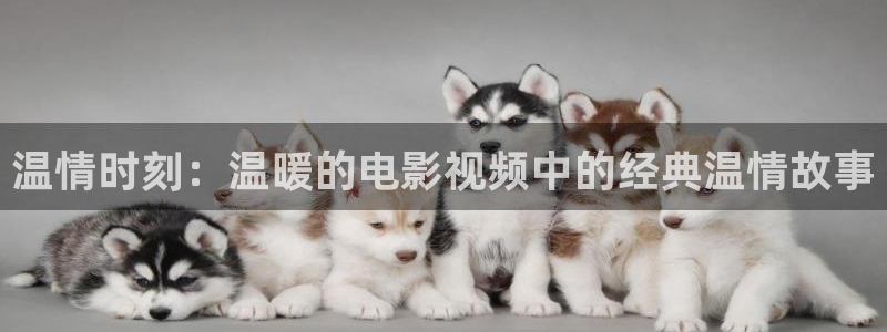 新视觉影院4080