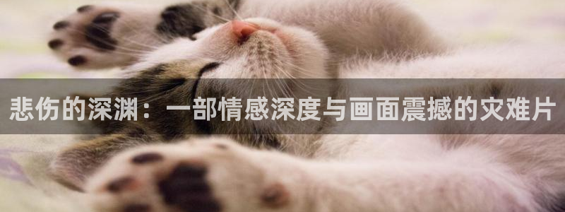 北晚新视觉