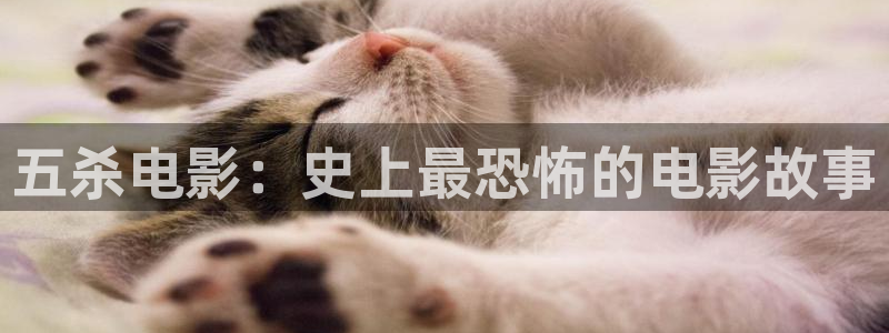 yy6080伦理新视觉影院