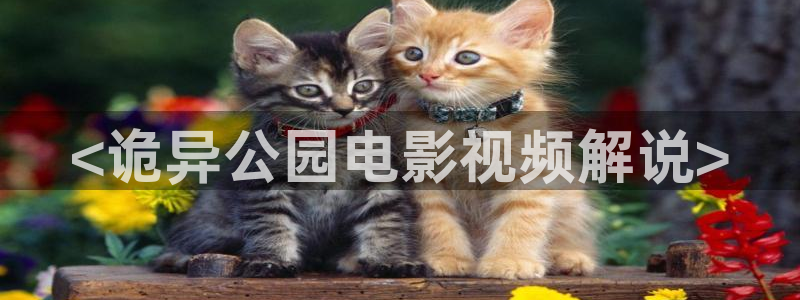 新视觉影院'