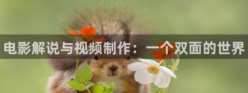 yy6080新视觉放映影院