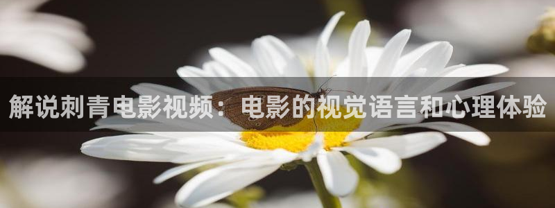 6080新视觉电视剧大全免费