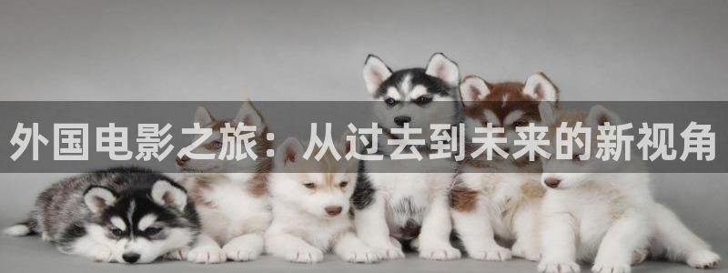 新视觉视觉视