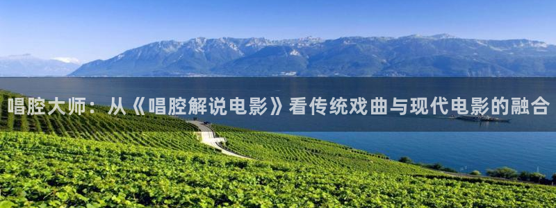6080新视觉电影网站
