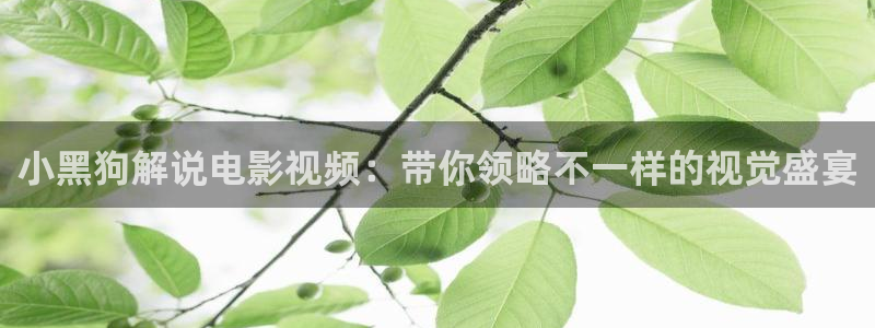 yy6080新视觉影院大全