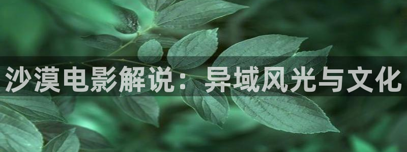 4410新视觉影视