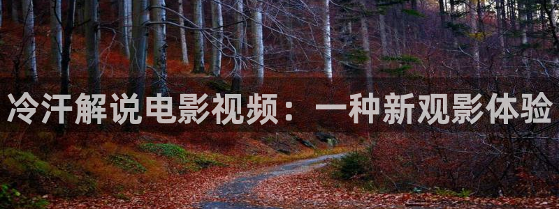 高清新视觉节目单