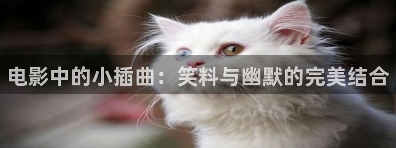 6080新视觉网：电影中的小插曲：笑料与幽默的完美结合