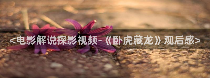 新视觉yy6080高清电视剧免费观看