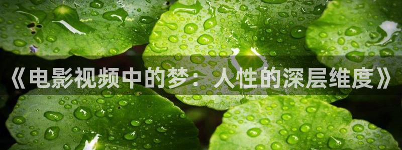 yy080新视觉