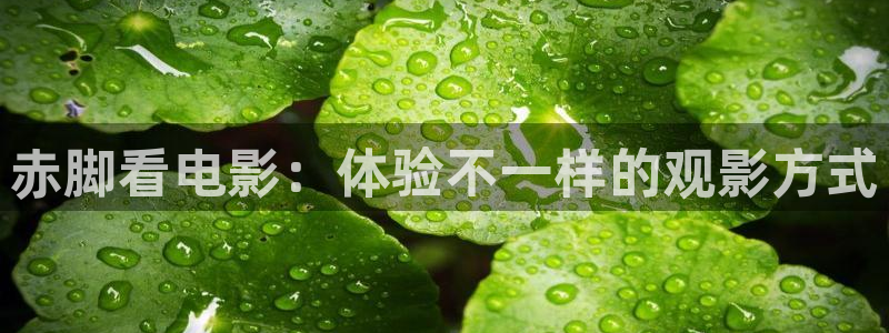 6080新视觉电影在线观看