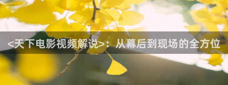 6680新视觉电影大全在线观看免费版