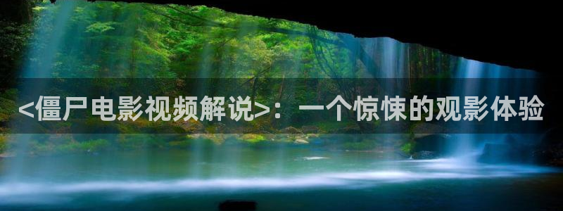 新视觉逗