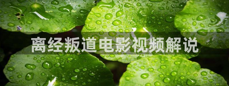 新视觉免费版