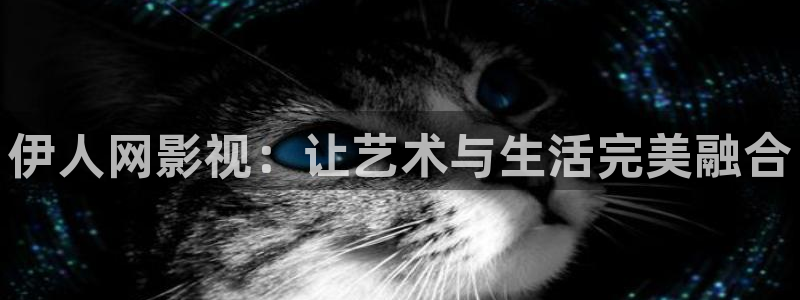 6080新视觉在线理论片