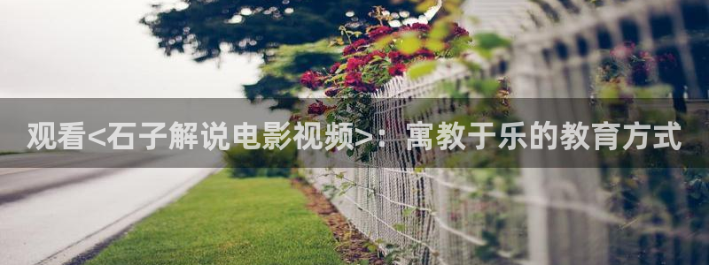 6088新视觉电影官网