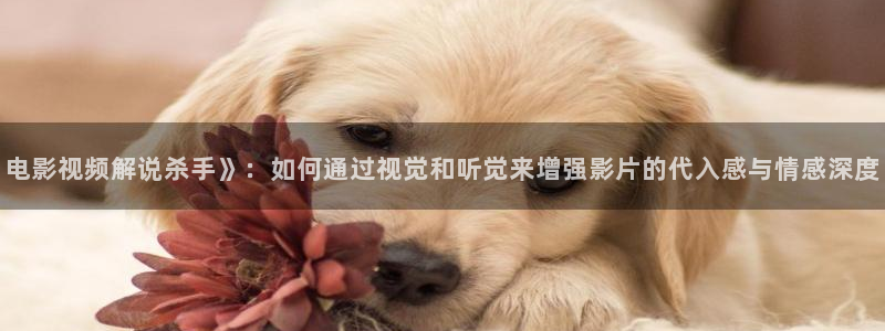 新视觉hd节目表