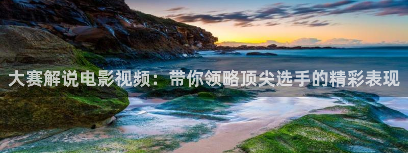 新视觉设计