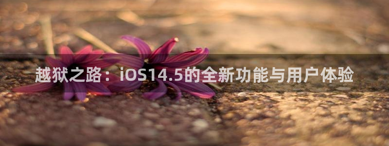 6060新视觉：越狱之路：iOS14.5的全新功能与用户体验