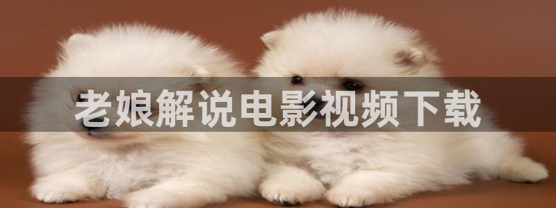 yy6080电影网站新视觉逗别看无敌马：老娘解说电影视频下载
