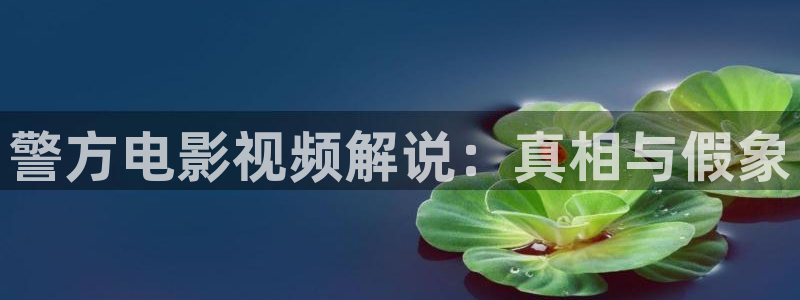 新视觉影院7080：警方电影视频解说：真相与假象