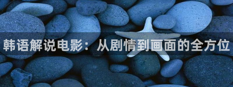 新视觉影院yy8090：韩语解说电影：从剧情到画面的全方位