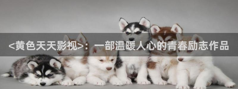 yy8090新视觉电视剧免费观看6月7日