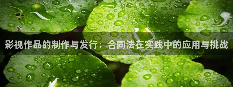 yy6080新视觉电视剧免费：影视作品的制作与发行：合同法在实践中的应用与挑战