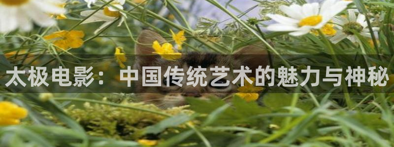 新视觉小说：太极电影：中国传统艺术的魅力与神秘