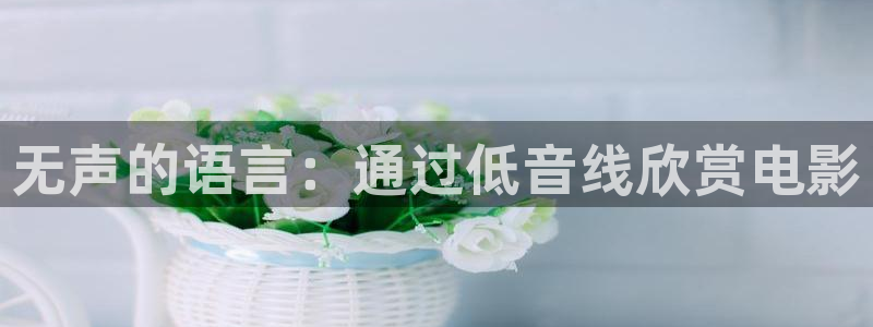 6029新视觉影院在线观看