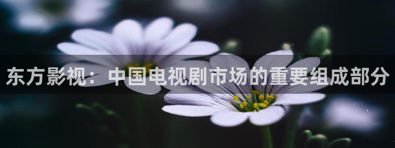6080新视觉