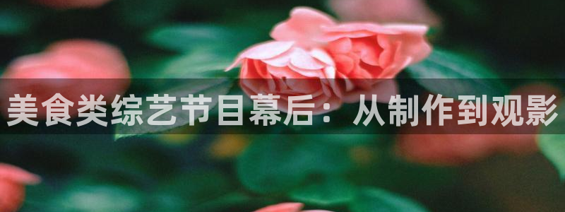 新视觉影视大全是免费追剧：美食类综艺节目幕后：从制作到观影