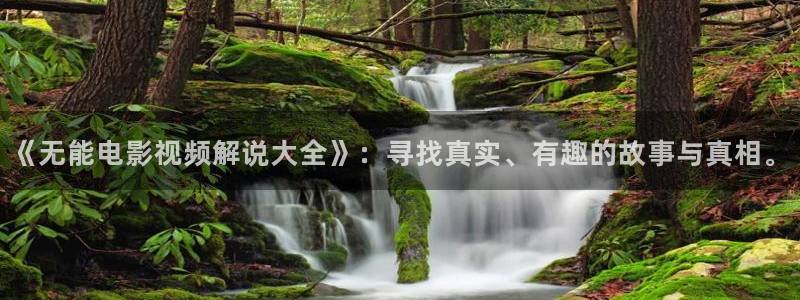 新视觉综艺完整版免费观看