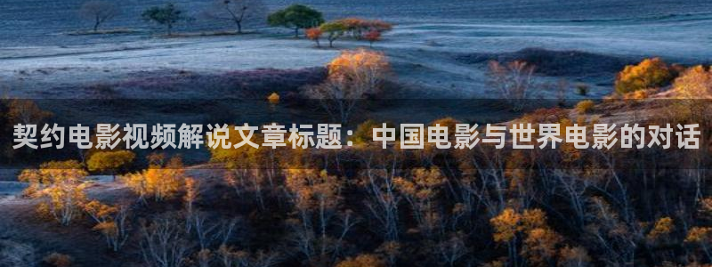 yy4090新视觉电视剧免费：契约电影视频解说文章标题：中国电影与世界电影的对话