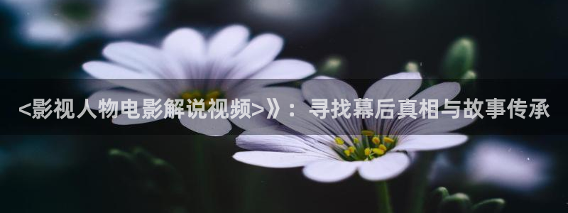 8090新视觉电影电视剧