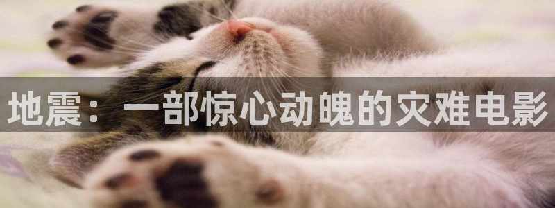 新视觉传媒公司：地震：一部惊心动魄的灾难电影
