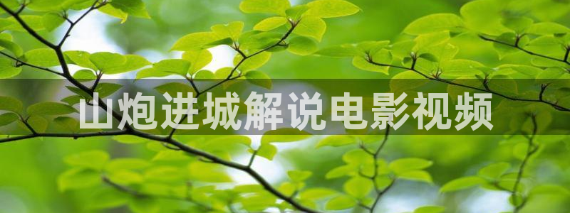 新视觉伦理6080