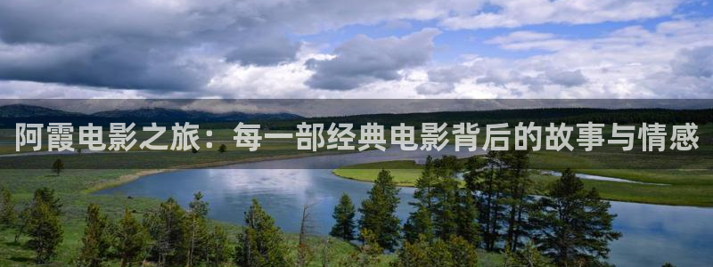 新视觉影院6：阿霞电影之旅：每一部经典电影背后的故事与情感