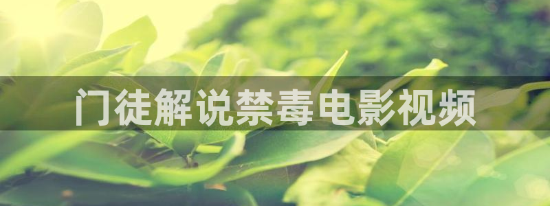 新视觉yy6080高清电视剧在线观看哪吒